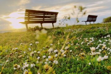 Garden Furniture & Accessories